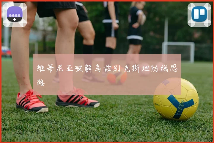 维蒂尼亚破解乌兹别克斯坦防线思路