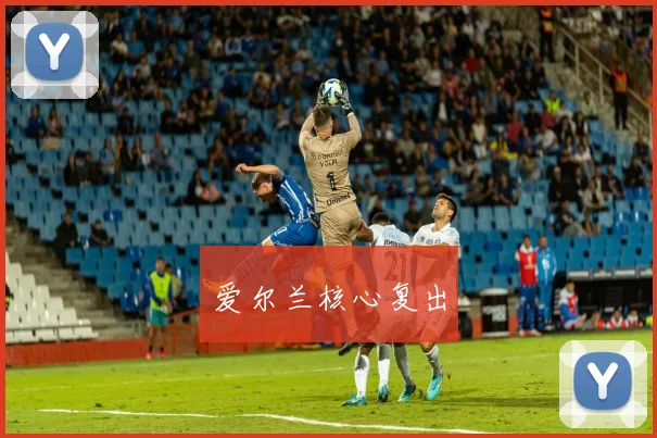 爱尔兰核心复出