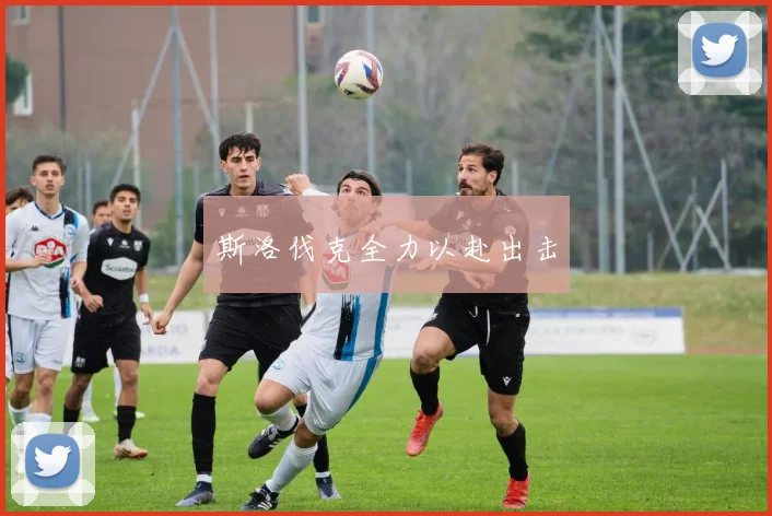 斯洛伐克全力以赴出击