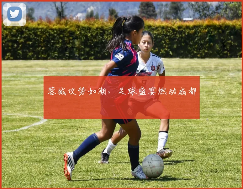 蓉城攻势如潮，足球盛宴燃动成都