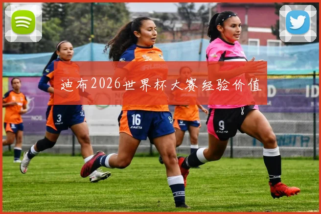 迪布2026世界杯大赛经验价值