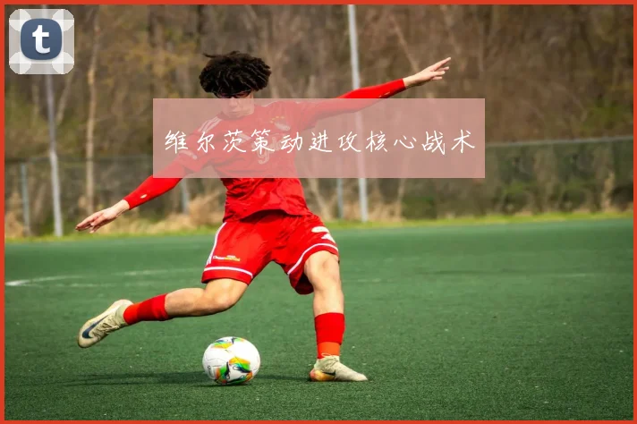 维尔茨策动进攻核心战术