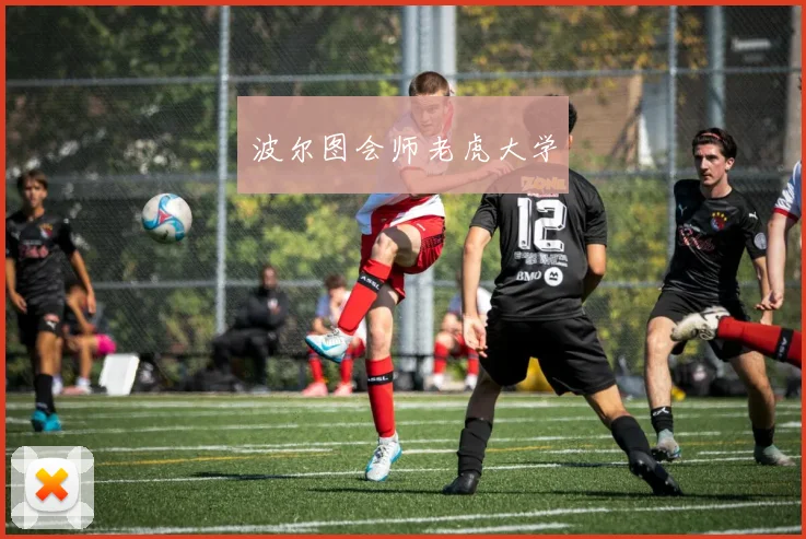 波尔图会师老虎大学