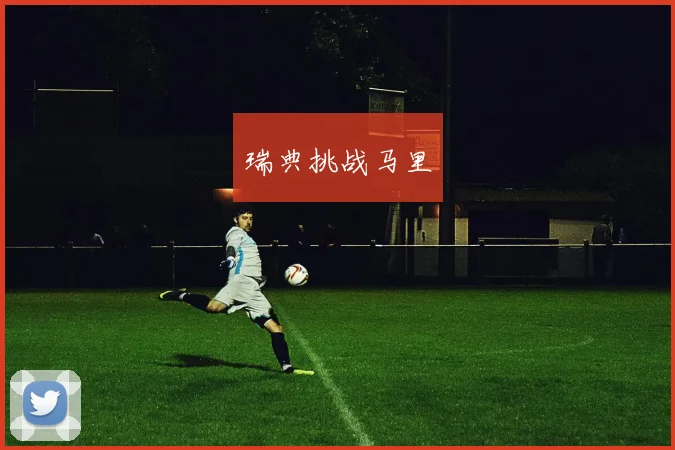 瑞典挑战马里