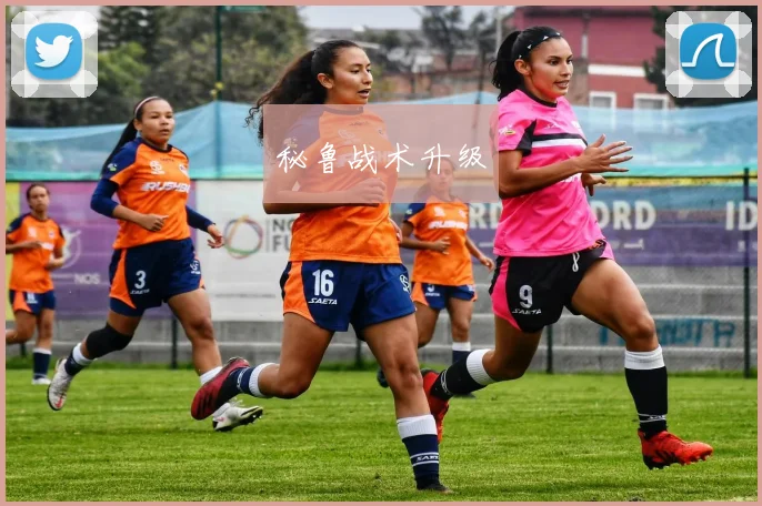 秘鲁战术升级