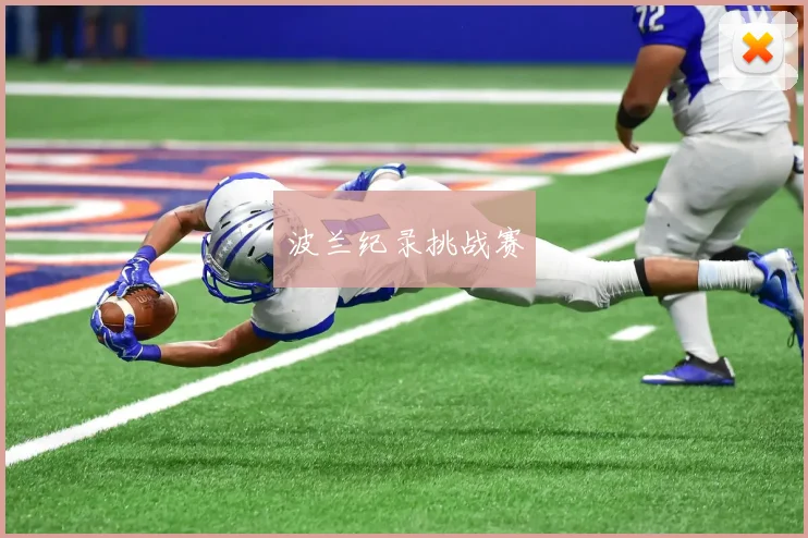 波兰纪录挑战赛