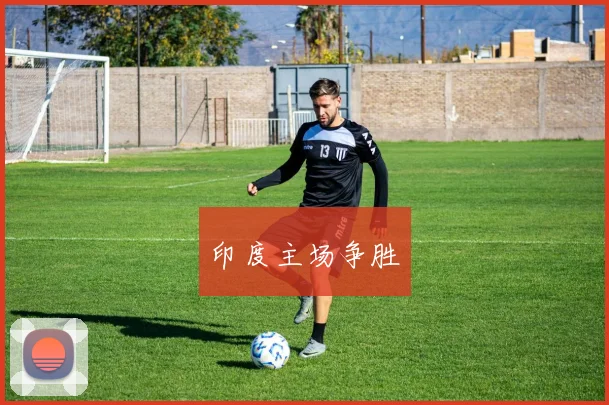印度主场争胜