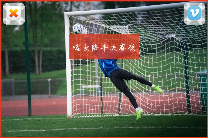喀麦隆半决赛夜