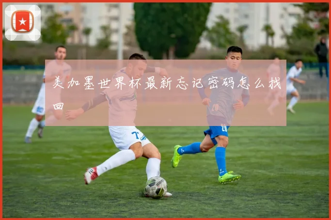 美加墨世界杯最新忘记密码怎么找回