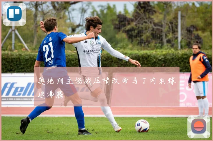 奥地利主场战压哨改命马丁内利球迷沸腾