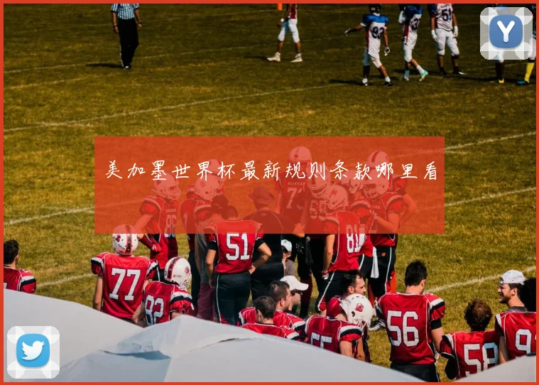 美加墨世界杯最新规则条款哪里看