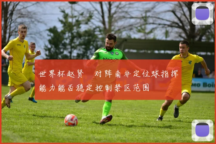 世界杯赵贤祐对阵南非定位球指挥能力能否稳定控制禁区范围
