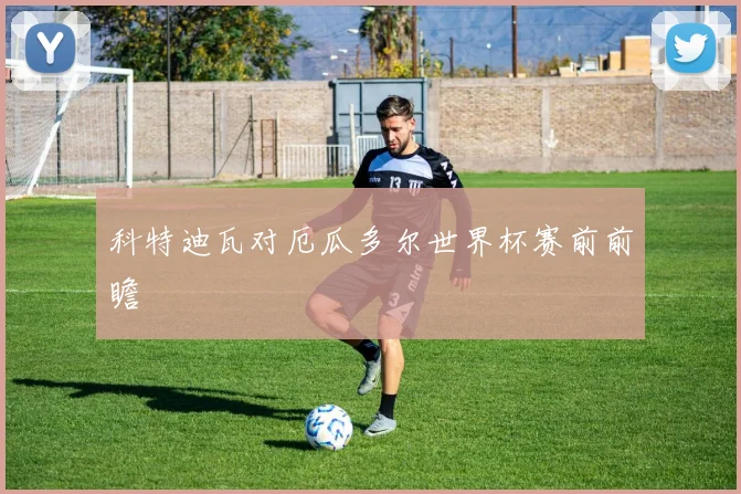 科特迪瓦对厄瓜多尔世界杯赛前前瞻