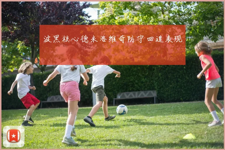 波黑核心德米洛维奇防守回追表现